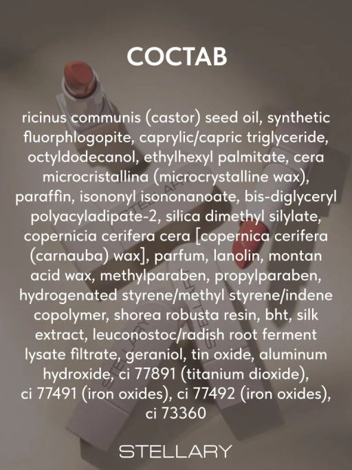 Stellary Помада для губ Устойчивая RICH NUDE тон 21 mokka freeze  фото 7