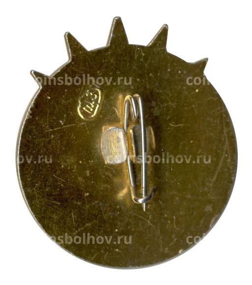 Значок 20 лет