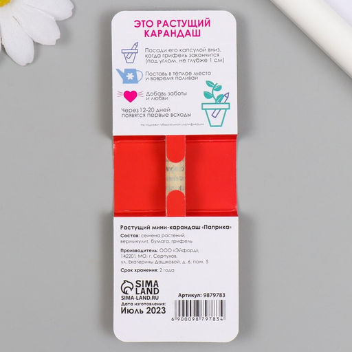 Цена за 2 шт. Растущий карандаш подарочный «Паприка Действуй решительно», mini, простой чернографитный