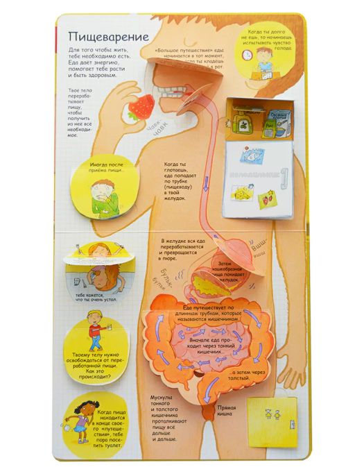 Секреты человека - Робинс фото 2