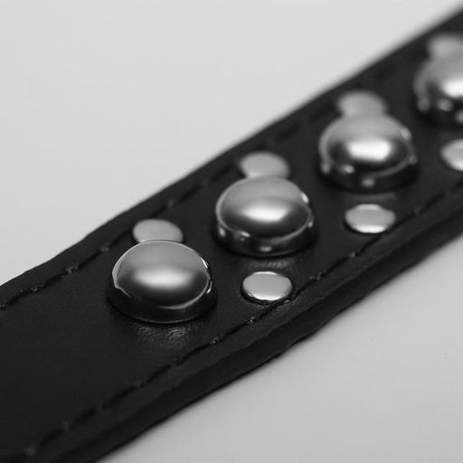 Ошейник Сириус, кожзам с заклёпками, 56 х 3 см, ОШ 42-52, чёрный - Пижон фото 5