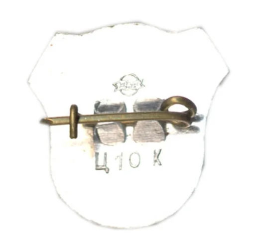 Значок Рига