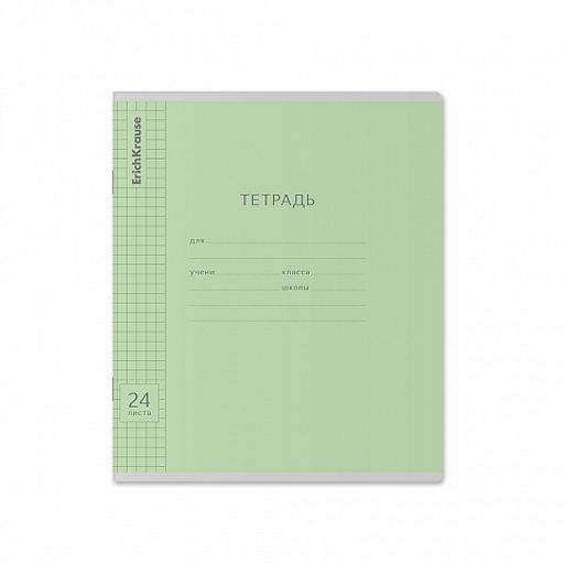 Цена за 160 шт. Тетрадь школьная ученическая ErichKrause Классика Visio ассорти, 24 листа, линейка (в плёнке по 10 шт.) фото 23