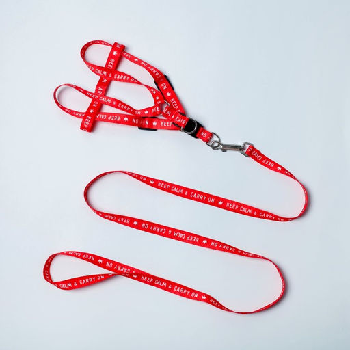 Комплект Keep calm & carry on, шлейка 36-49 см, поводок 120х1,5 см - Пушистое счастье фото 2