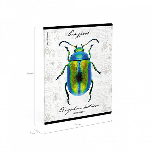 Цена за 5 шт. Тетрадь общая ученическая ErichKrause Жуки, 48 листов, клетка, мат. лам.+выборочный УФ-лак+тиснение фольгой+конгрев, доп.лист_MIX-PACK фото 10