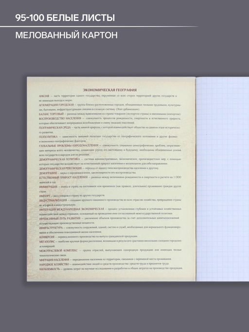 Цена за 10 шт. Предметная тетрадь по географии Calligrata «Мрамор светлый», 48 листов, в клетку, со справочным материалом, обложка из мелованного картона