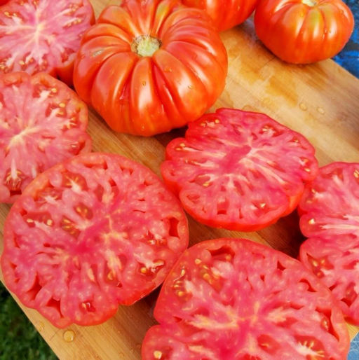 Помидоры Марманд от Мадам Гарньер из Парижа - MARMANDE GARNIER Tomatoes - Дом помидоров фото 2