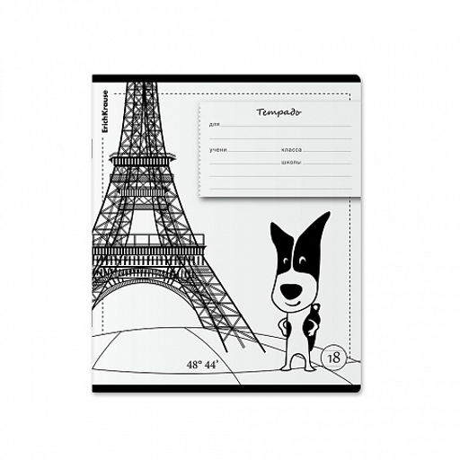 Цена за 10 шт. Тетрадь школьная ученическая ErichKrause Путешественник, 18 листов, линейка (в плёнке по 10 шт.)_MIX-PACK  фото 5