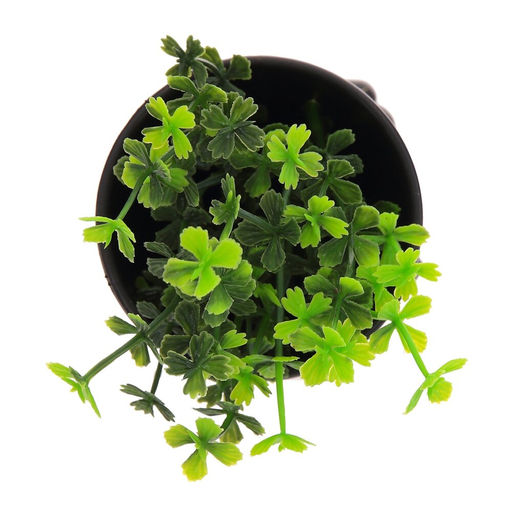 Цветочная композиция, L7 W8 H16 см - Remeco фото 3