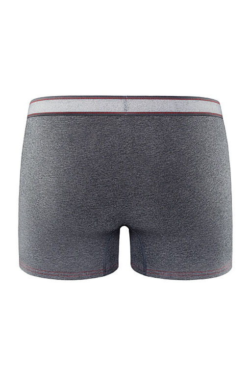 Мужские трусы BB99 Меланж Серый