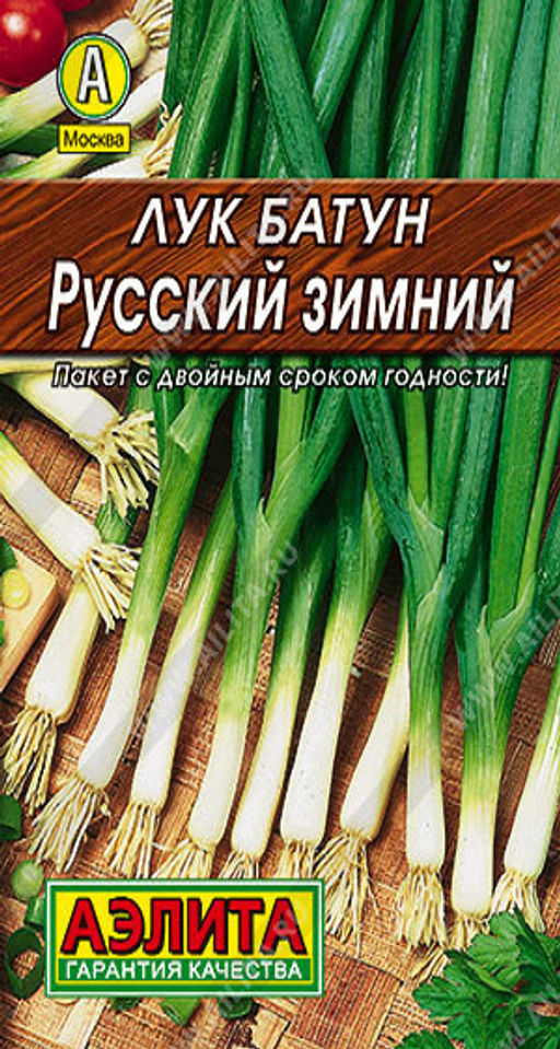 6004U Лук батун Русский зимний 1гр