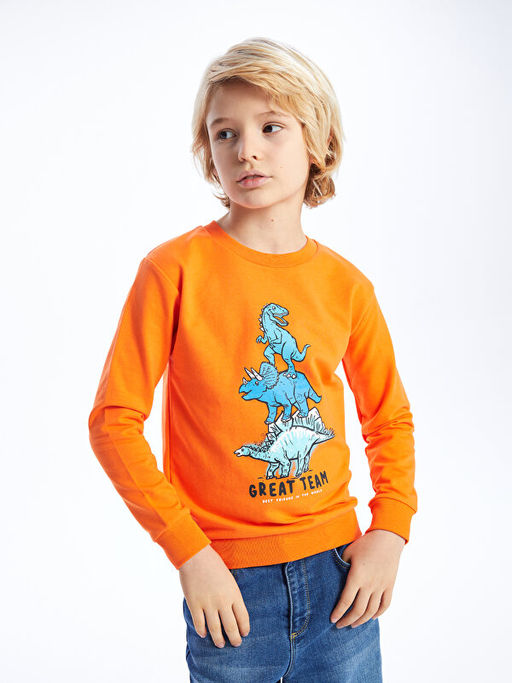 Bisiklet Yaka Bask?l? Uzun Kollu Erkek ?ocuk Sweatshirt - Waikiki фото 2