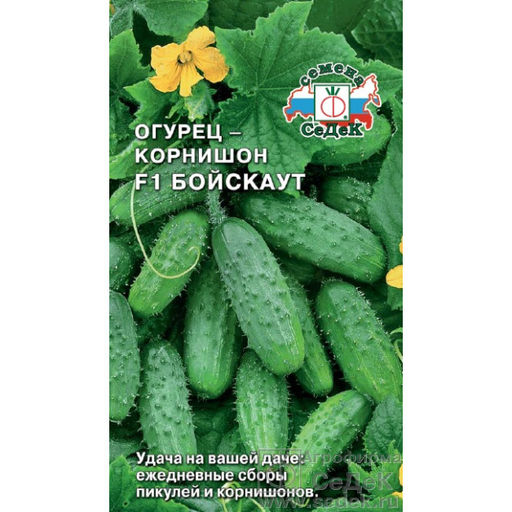 Огурец Бойскаут F1 0,3г (СеДеК)