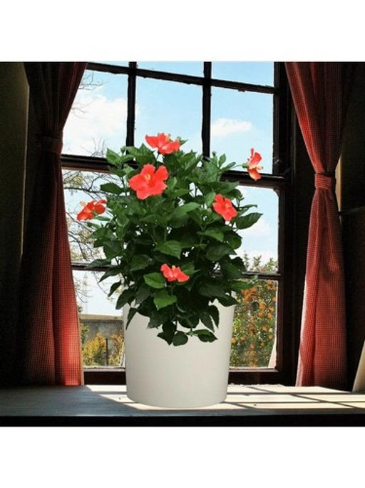 Горшок для цветов 6,5л d217 h215мм молочный GENIUS