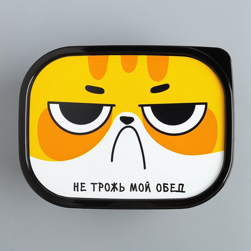Цена за 2 шт. Ланч - бокс прямоугольный «Не трожь мой обед», 500 мл