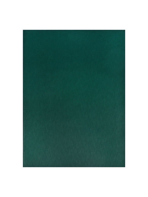 Набор тетрадей Calligrata. VIGO, А4, 2 штуки, 96 листов, обложка из бумвинила, зелёные