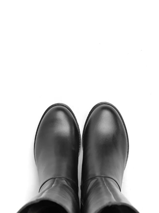 Сапожки Ионесси