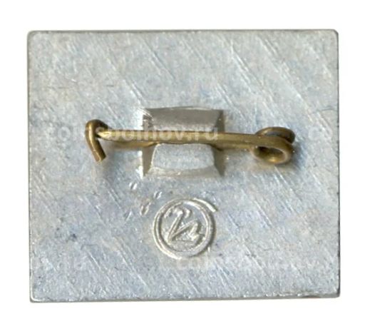 Значок IX Фестиваль молодежи Березка ВЛКСМ