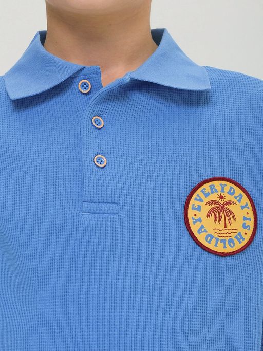 Pelican BFTP4321 футболка для мальчиков фото 3