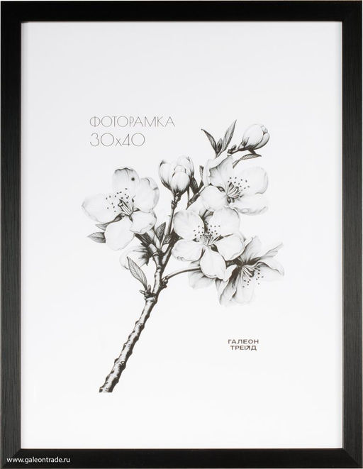 Фоторамка 30x40 / ZR208B-22 / ф - Галеонтрейд фото 3