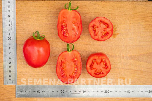 Томат Синдбад - Партнер фото 5