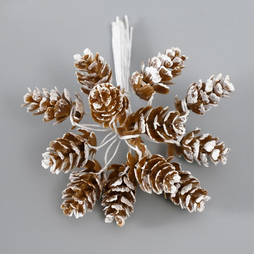 Цена за 11 шт. Декор для творчества "Шишки" (1 набор=1 букет) в букете 12 шт 11х2х2см