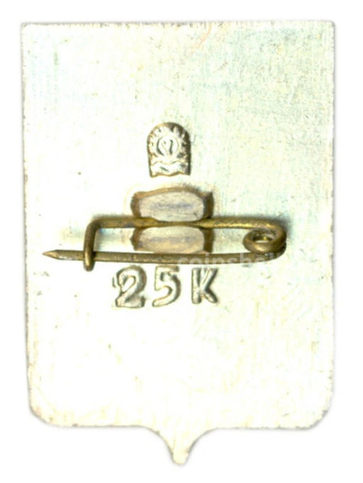 Значок Севастополь