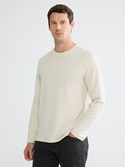 Regular Fit Bisiklet Yaka Erkek Sweatshirt