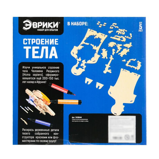 Набор для опытов Строение тела, 24 элемента - Эврики фото 7