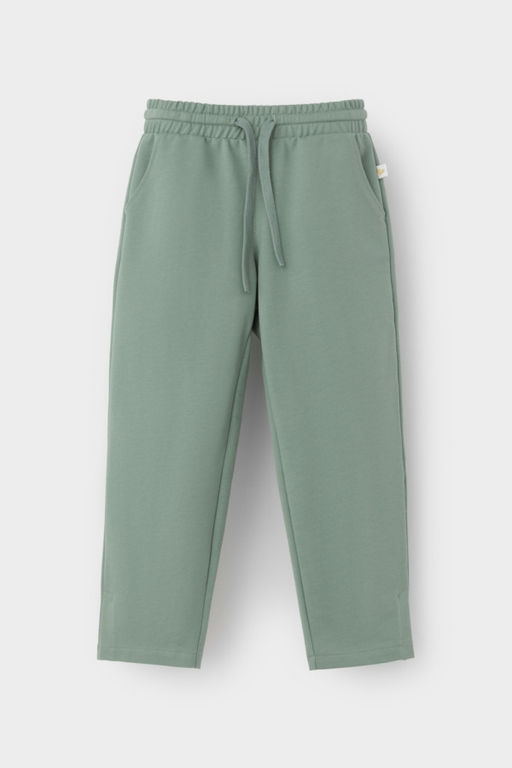 КР 400771/весенний зеленый к531, брюки