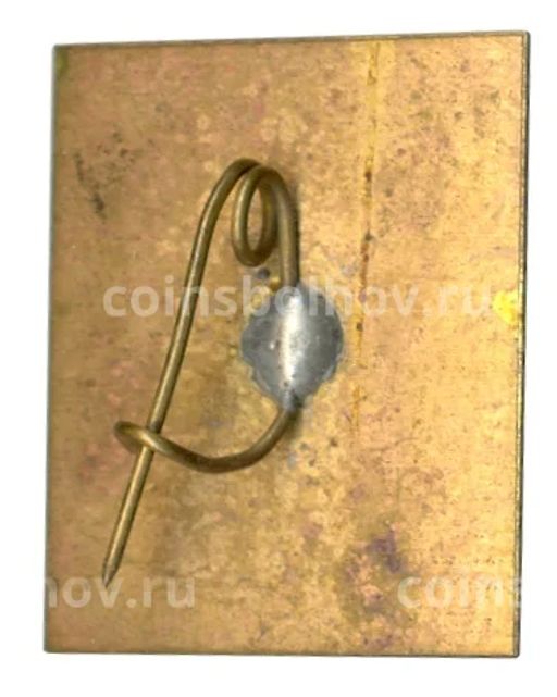 Значок Карпаты