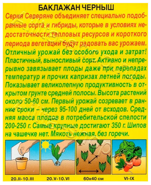 Баклажан Черныш 0,1г (Аэлита)