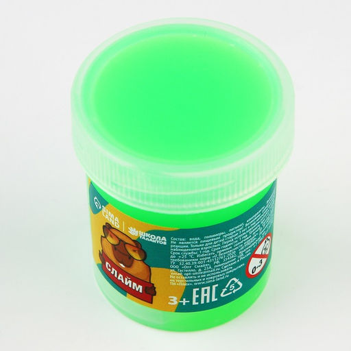 Слайм Капибара, зеленый - Школа талантов фото 4