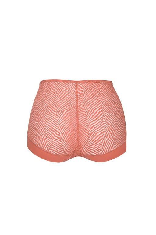 Трусы-слип Celeste Classic Lososiowy