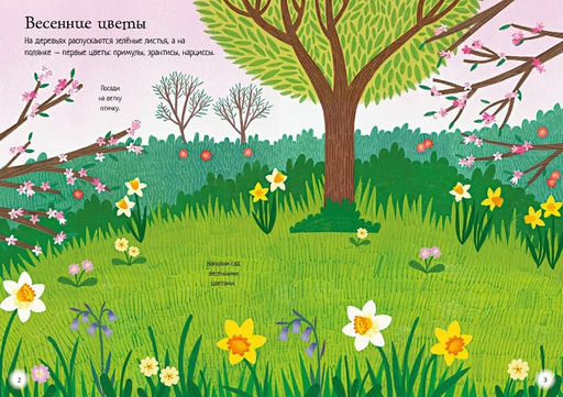 Прекрасные цветы. Янг К. - Махаон фото 2