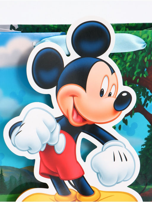 Цена за 2 шт. Пакет подарочный «Мышонок», 22 × 22 × 10 см