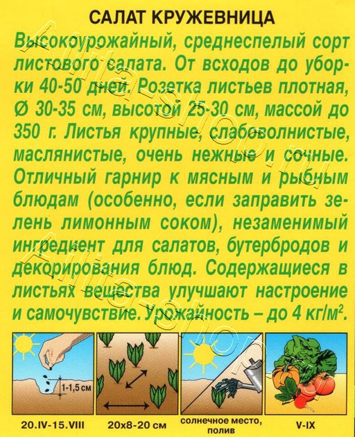 Салат листовой Кружевница 0,5г (Аэлита)