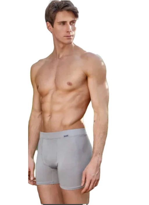 Мужские трусы Berrak 4434