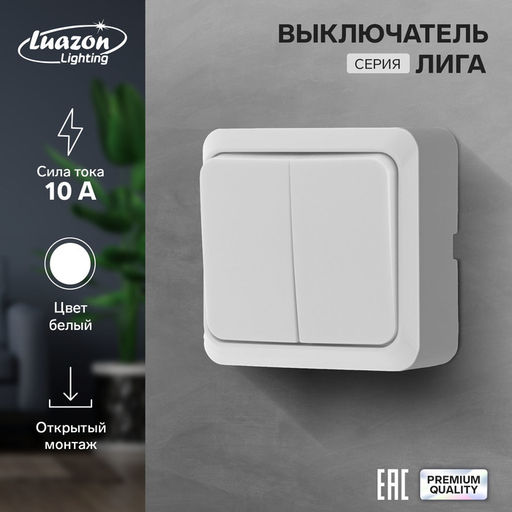 Выключатель Luazon Lighting «Лига», 10 А, 2 клавиши, накладной, белый