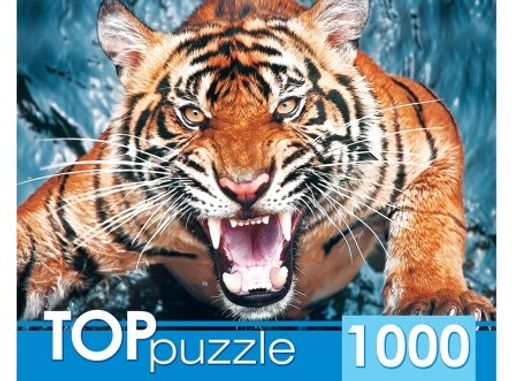 TOPpuzzle 1000 элементов "Грозный тигр" (ГИТП1000-2145)