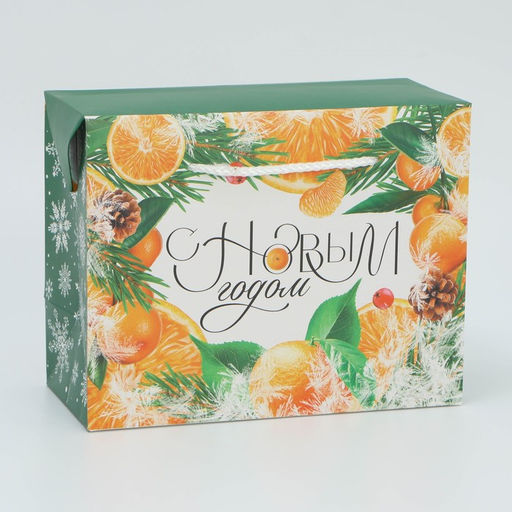 Цена за 2 шт. Пакет-коробка подарочный новогодний С Новым годом, 23?18?11 см - Дарите счастье фото 2