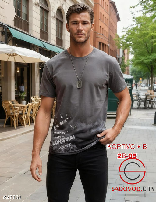 Мужские футболки с рисунком