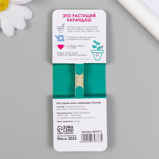 Растущие подарочные карандаши mini Будь как дерево "Сосна"