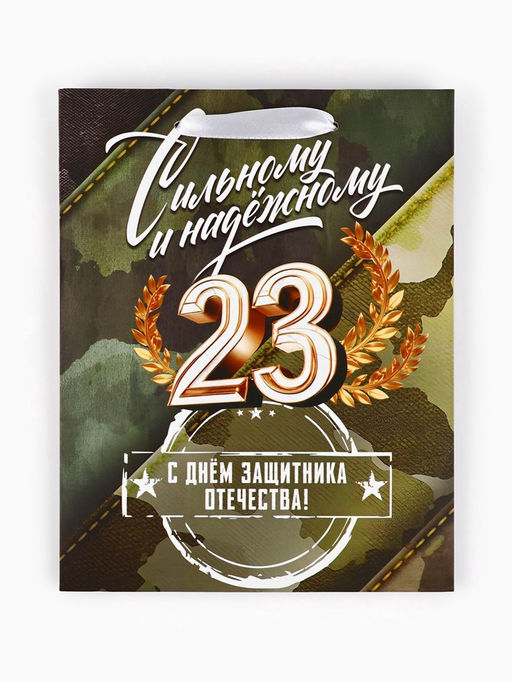 Пакет подарочный ламинированный «23 февраля», MS 18×23×10 см