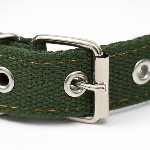 Ошейник брезентовый двухслойный, 59,5 х 2,5 см, хаки - Пижон фото 3