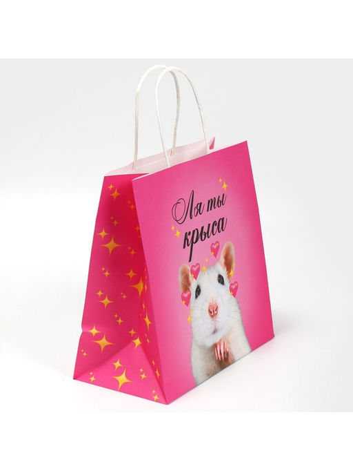 Цена за 2 шт. Пакет подарочный, упаковка, Ля ты, 22?22?11 см