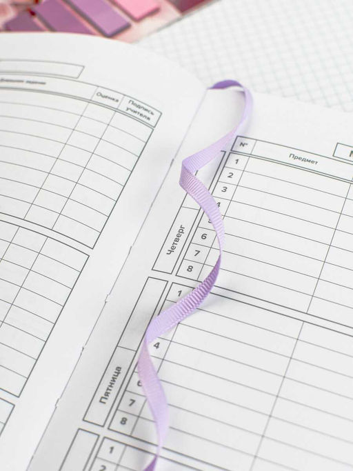 Дневник школьный арт. 68759 / 15 ПЛОНЖЕ СИРЕНЕВЫЙ