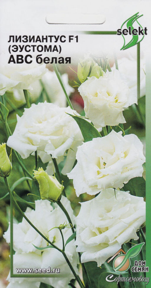 Лизиантус F1 (Эустома) АВС белая