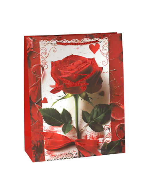 Пакет подарочный 26х32х10 / 4119-2 /уп 12/480/ - ГалеонТрейд фото 3