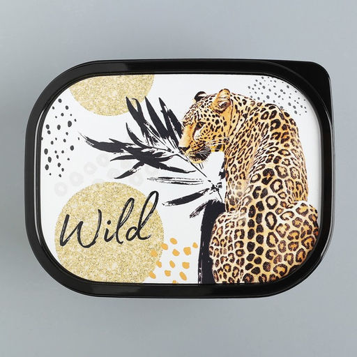 Цена за 2 шт. Ланч - бокс прямоугольный Wild, 500 мл - Сима-Ленд фото 4